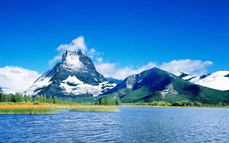 稳定性稳定性